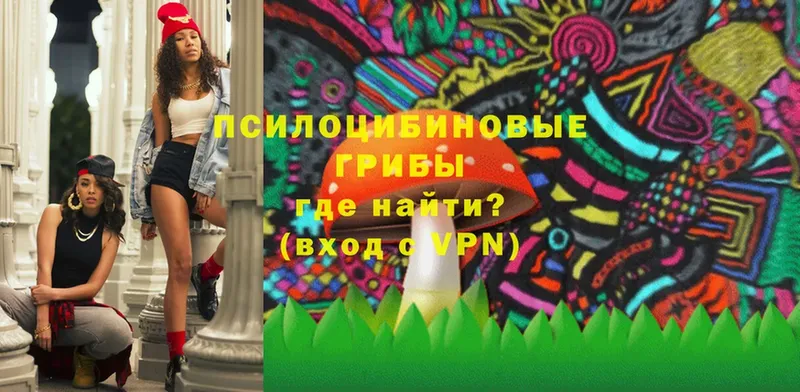 Галлюциногенные грибы Magic Shrooms  где продают   Ейск 